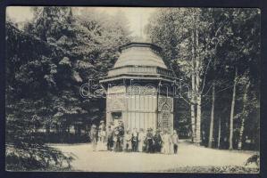 Dornavátra Amalia well