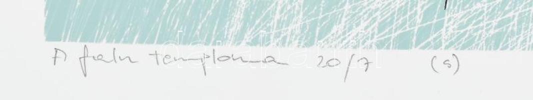 Ghyczy György (1953-): Vízivilág. Szitanyomat, papír, jelzett. 20/7 számozással. 46×60 cm