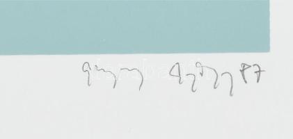 Ghyczy György (1953-): Vízivilág. Szitanyomat, papír, jelzett. 20/7 számozással. 46×60 cm