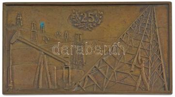 1962. "Barátság Nemzetközi Kőolajvezeték 1962" kétoldalas bronz plakett (78x136mm) T:1- pa...
