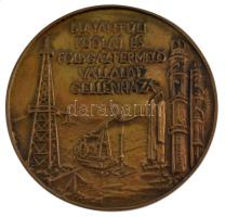 ~1970. Dunántúli Kőolaj és Földgáztermelő Vállalat Gellénháza egyoldalas bronz emlékérem (102mm) T:1-