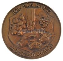 ~1970-1980. Haladás MG TSZ. Jászszentandrás egyoldalas bronz emlékérem, hátoldalán Emlékül az MG. TSZ. vezetőségétől (115mm) T:1-