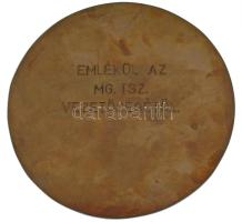 ~1970-1980. "Haladás MG TSZ. Jászszentandrás" egyoldalas bronz emlékérem, hátoldalán "...