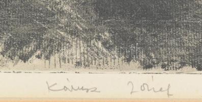 Kórusz József (1927-2010): Balatonpart. Rézkarc, papír, jelzett, üvegezett fakeretben. 30,5×38 cm