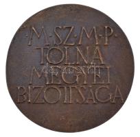 DN "Kiváló pártmunkáért / MSZMP Tolna Megyei Bizottsága" kétoldalas, öntött bronz emlékére...