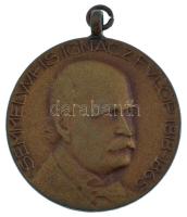 1968. Semmelweis Ignácz Fülöp 1818-1865 / Septimana Solemnis Semmelweis Budapest 1968 kétoldalas bronz emlékérem füllel (30,5mm) T:1- patina