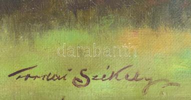 Tordai Székely Mihály (1890-1940): Virágos park. Olaj, vászon, jelzett. Dekoratív fakeretben, 75x100...