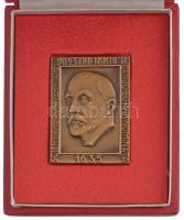 Iván István (1905-1968) 1960. "Az Eötvös Lóránd Tudományegyetem 325 éves Jubileuma" bronz emlékplakett eredeti dísztokban (55x40mm) T:1-,2 Hungary 1960. "325th Anniversary of the Eötvös Lóránd University - SCIENTIARUM UNIVERSITAS BUDAPESTINENSIS DE ROLANDO EÖTVÖS NOMINATA 1635" bronze commemorative plaque. Sign.: István Iván (55x40mm) C:AU,XF