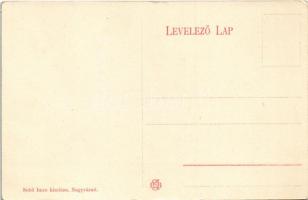 Nagyvárad, Oradea; Szacsvay szobor. Sebő Imre kiadása / statue