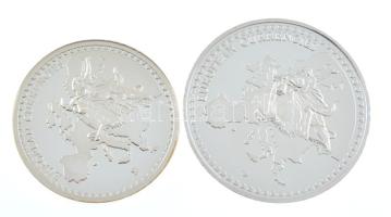 DN "Európai pénznemek / Svájc - Parlament, Bern" ezüstözött, részben aranyozott fém emléké...