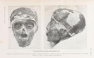 Carter, Howard: Tut-Ankh-Amen koporsója és múmiája. Bp., Franklin. Kiadói aranyozott egészvászon köt...