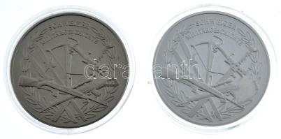 Svájc DN "Svájci hadtörténet / I. világháború" ezüstözött emlékérem kapszulában (40mm) + &...