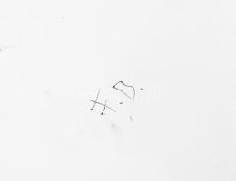 F. B. jelzéssel: Virágos áttört falitányér, kopásokkal, d: 18,5 cm