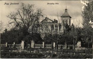 1910 Nagybecskerek, Zrenjanin, Veliki Beckerek; Poroszkay villa (felszíni sérülés / surface damage)