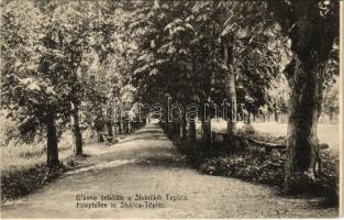 1914 Stubicke Toplice, Stubica-Töplitz; Glavno setaliste / Hauptallee / main promenade