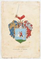 Ismeretlen család címere, kézzel festett papír, kopott, szélén kis szakadásokkal, 49x34 cm