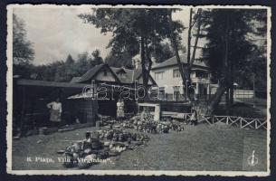 Piata, Vila "Virginica"