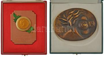 8 darabos magyar emlékérem tétel, 4 darab dísztokban, közte "Testvérhegyi FT üzembehelyezése&qu...