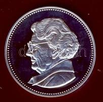 Hollandia 2004. "Juliana" Ag 25,2g T:PP