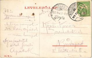 1909 Besztercebánya, Banská Bystrica; Mátyás tér, piac, gyógyszertár. W.L. 533 / market, pharmacy (f...