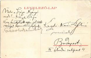 Temesvár, Timisoara; vár / castle (Rb)