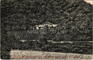 1915 Erdészvölgy, Kuzij (Lonka, Luh); Tisza-völgy, Máramaros, Rudolf trónörökös vadászkastélya / hunting castle (EK)
