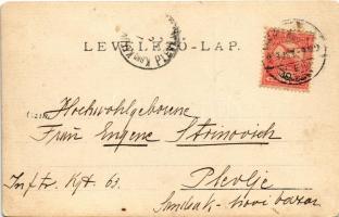 1903 Beszterce, Bistritz, Bistrita; családi csoportkép egy villa udvarán / family photo in a villa g...