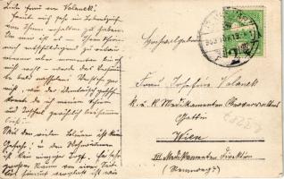 1909 Temesvár, Timisoara; Weithofer (?) villa udvara / villa garden. photo (EK)