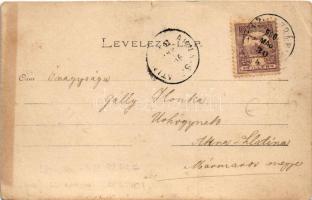 1900 Felsőróna, Horná Roven (Selmecbánya, Banská Stiavnica); park. photo (kis szakadás / small tear)