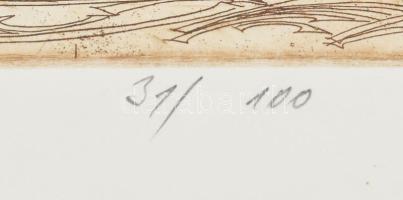 Kádas István (1941-): Esztergom. Rézkarc, papír, jelzett, számozott (31/100). 26×38 cm