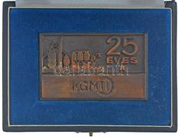 1969. 25 éves a KGMTI (Kohó- és Gépipari Minisztérium Tervező Irodái) bronz plakett eredeti tokban (50x80mm) T:1- patina