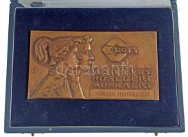 Búza Barna (1920-2010) 1990. EGIS - A 30 éves hűségért, munkáért bronz plakett Némethné Fegyveres Judit gravírozással, eredeti tokban (132x74mm) T:1