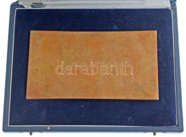 Búza Barna (1920-2010) 1990. "EGIS - A 30 éves hűségért, munkáért" bronz plakett "Ném...