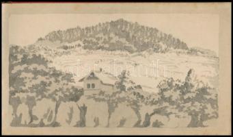 Goethes Reise-, Zerstreuungs- und Trostbüchlein. Leipzig, [1935], Insel-Verlag. Egészoldalas illuszt...