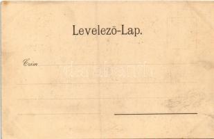 Szatmárnémeti, Szatmár, Satu Mare; Új vigadó és szálloda. Lövy M. kiadása / new hotel and restaurant...