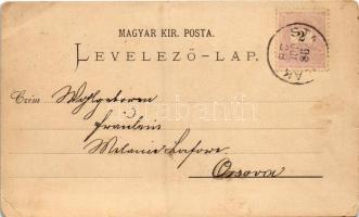 1898 (Vorläufer) Stájerlak, Steierlak, Stájerlakanina, Steierdorf, Anina; (EK)