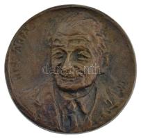 M. Szűcs Ilona (1925-2010) DN Kiss Árpád egyoldalas bronz emlékérem (70mm) T:2
