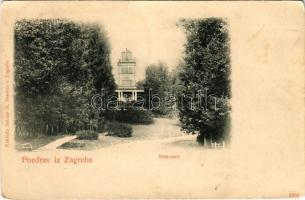 1900 Zagreb, Zágráb; Maksimir / park (kis szakadás / small tear)