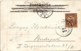 1900 Dog at the restaurant, cat waitress. litho (r)