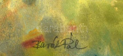 Baráth Pál (1950-): Hegyvidéki táj. Gouache, papír. Jelezve jobbra lent. Üvegezett fakeretben. 43×30...