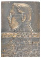 Tichy Kálmán (1888-1968) DN Landler Jenő egyoldalas bronz emlékplakett (102x72mm) T:1-
