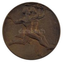 DN Eredményes Munkásságáért kétoldalas bronz emlékérem (65mm) T:1-