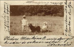 1905 Modor-Harmónia, Modern-Harmonie, Modor, Modra; gyerekek kutyával / children with dog. photo (EM)