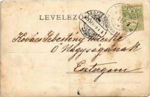 1905 Modor-Harmónia, Modern-Harmonie, Modor, Modra; gyerekek kutyával / children with dog. photo (EM...