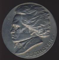 NSZK DN "Beethoven" T:2