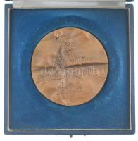 Rácz Edit (1936-) 1973. "Söripari emlékplakett / 1854... és Kőbányán megindult a nagyüzemi serf...