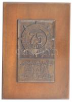 1970. 75 éves a Magyar Állami Hajózás 1895-1970 bronz lemezplakett (80x49mm) fa talapzaton (125x89mm) T:1-