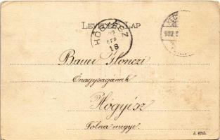 1902 Kecskemét, látkép. Schwartz Soma kiadása (EK)