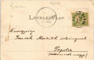 1904 Felsőbánya, Baia Sprie; látkép. Dácsek Péter kiadása / general view (EB)