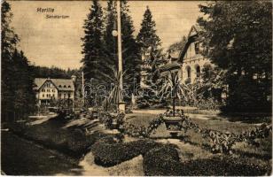 1910 Marilla, Marillavölgy, Marila; szanatórium. Weisz Felix kiadása / sanatorium, spa (fa)